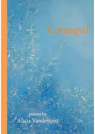 Conjugal
