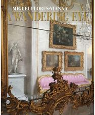 Wandering Eye Travels with my Phone