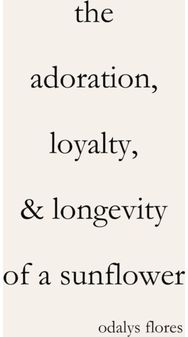 Adoration, Loyalty, & Longevity of a Sunflower