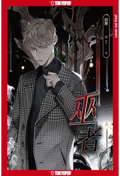 Wizard (Novel) When Words Kill
