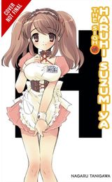 Sigh of Haruhi Suzumiya (light novel)