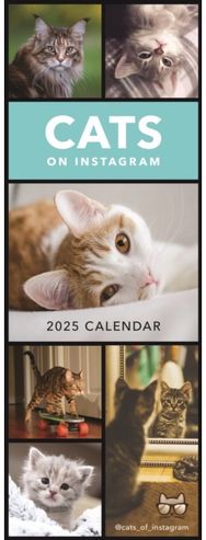 Cats on Instagram Slim Calendar 2025