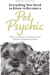 Everything You Need How to Master the