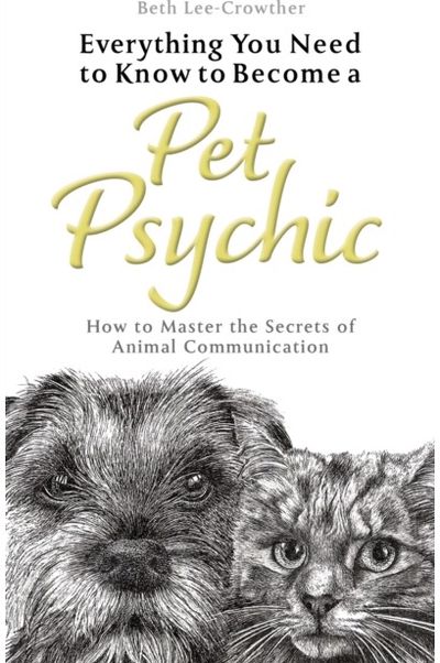 Everything You Need How to Master the