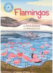 Reading Champion: Flamingos: Independent Reading Non-Fiction Blue 4 Independent Reading Non-Fiction Blue 4