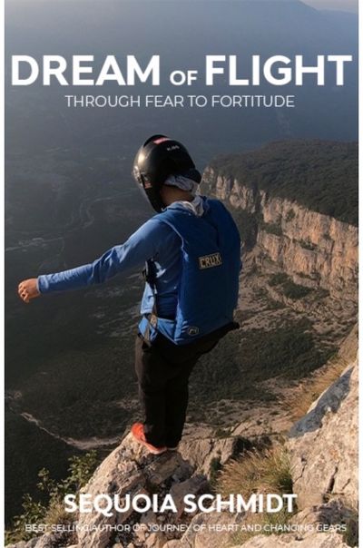 Dream of Flight From Fear to
