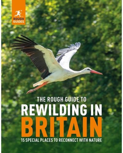 Rough Guide to 15 Special Places to