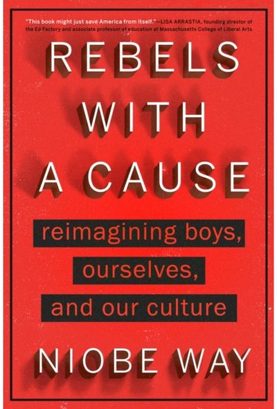 Rebels with a Cause Reimagining Boys,