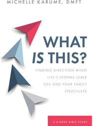 What Is This? Finding Direction When Life's Storms Leave You and Your Family Speechless