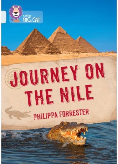 Journey on the Nile Band 17/Diamond