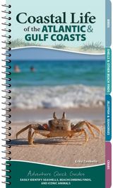Coastal Life of the Atlantic and Gulf Coasts Easily Identify