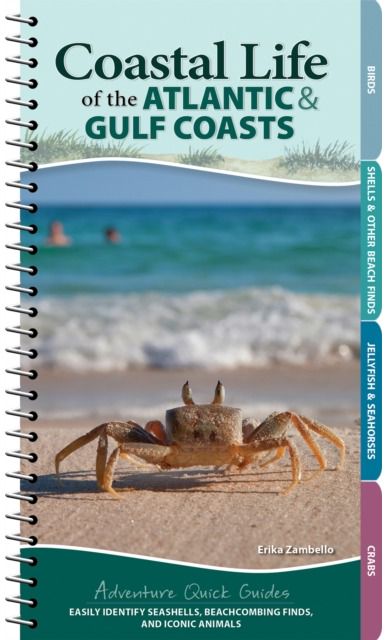 Coastal Life of the Atlantic and Gulf Coasts Easily Identify