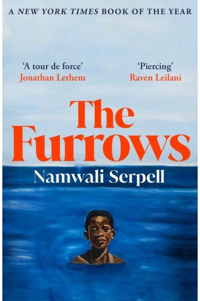 Furrows From the Prize-winning author of The Old Drift