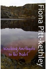 Washing Amethysts in the Bidet