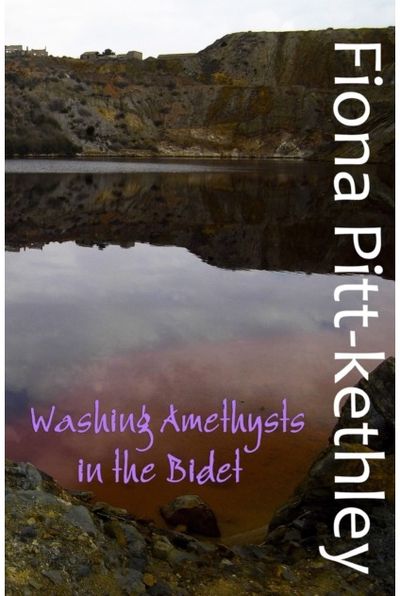 Washing Amethysts in the Bidet