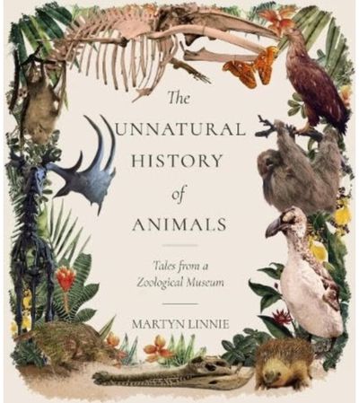 Unnatural History of Animals Tales from a Zoological Museum