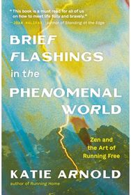 Brief Flashings in the Phenomenal World