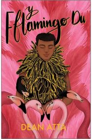 Y Fflamingo Du