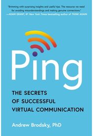 Ping: The Secrets of Successful Virtual Communication