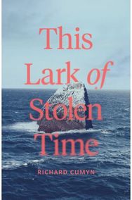 Lark of Stolen Time A Novel