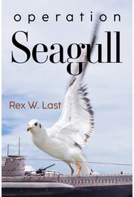 Operation Seagull