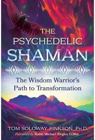 Psychedelic Shaman: The Wisdom Warrior's Path to Transformation