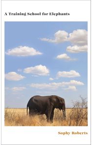 Training School for Elephants