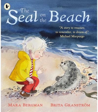 Seal on the Beach