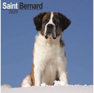 Saint Bernard Square Wall Calendar 2025