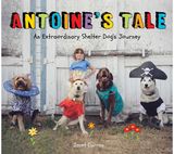 Antoine's Tale An Extraordinary