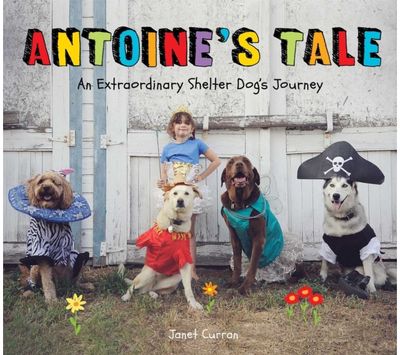 Antoine's Tale An Extraordinary