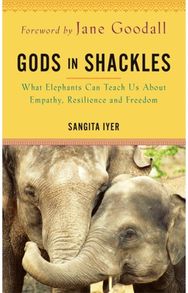 Gods in Shackles: What Elephants Can Teach Us About Empathy, Resilience and Freedom Teach Us About Empathy, Resilience and Freedom