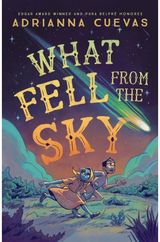 What Fell from the Sky