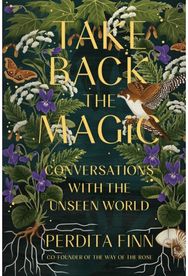 Take Back the Magic: Conversations with the Unseen World