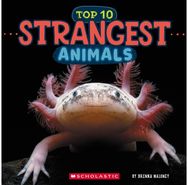 Strangest Animals (Wild World: Top 10)