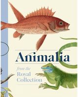 Animalia