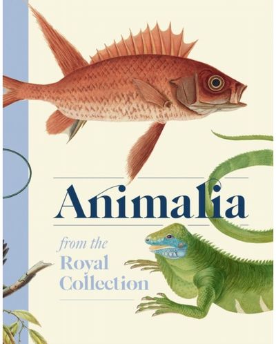Animalia