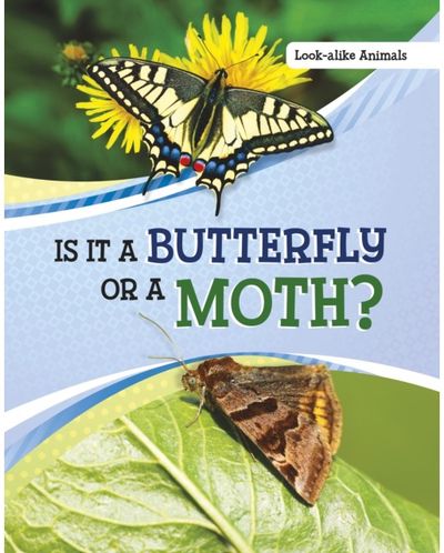 Is It a Butterfly or a Moth?