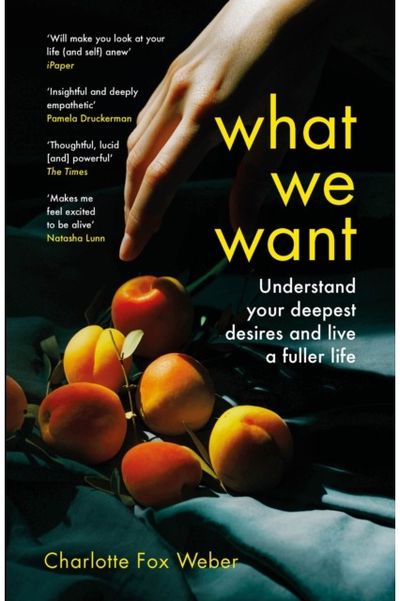 What We Want A Journey Through