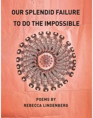Our Splendid Failure to Do the Impossible