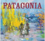 Patagonia: Taith Mewn Paent