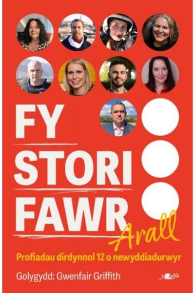 Fy Stori Fawr Arall - Profiadau dirdynnol 12 o newyddiadurwyr