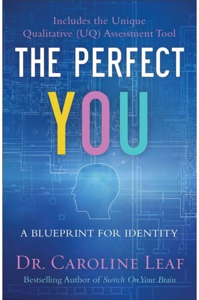 Perfect You – A Blueprint for Identity