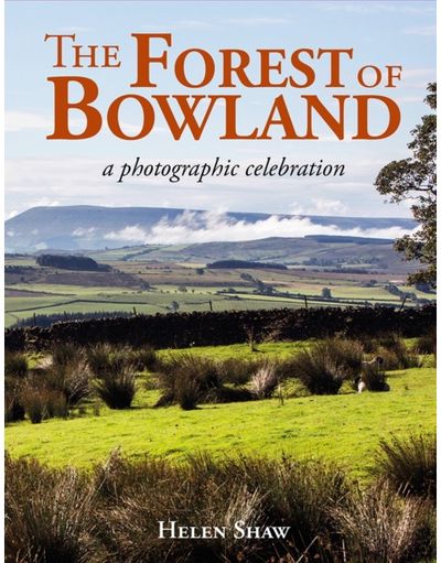 Forest of Bowland