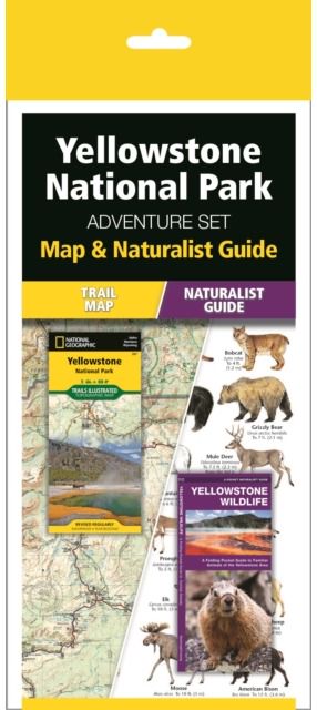 Yellowstone National Park Adventure Set