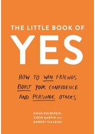 Little Book of Yes: How to win friends, boost your confidence and persuade others