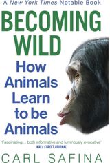 Becoming Wild How Animals Learn to