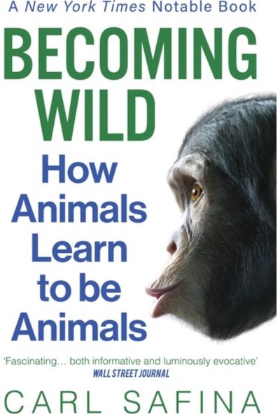 Becoming Wild How Animals Learn to