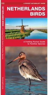 Netherlands Birds