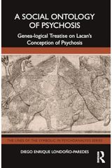Social Ontology of Psychosis